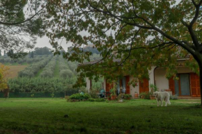 Casa Sophie Affittacamere